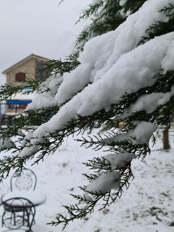 La Pommeraie D'Ifrane Ifrane  Dış mekan fotoğraf
