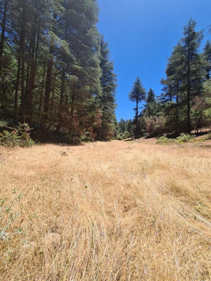 La Pommeraie D'Ifrane Ifrane  Dış mekan fotoğraf