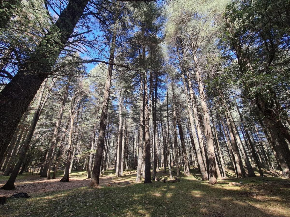 La Pommeraie D'Ifrane Ifrane  Dış mekan fotoğraf