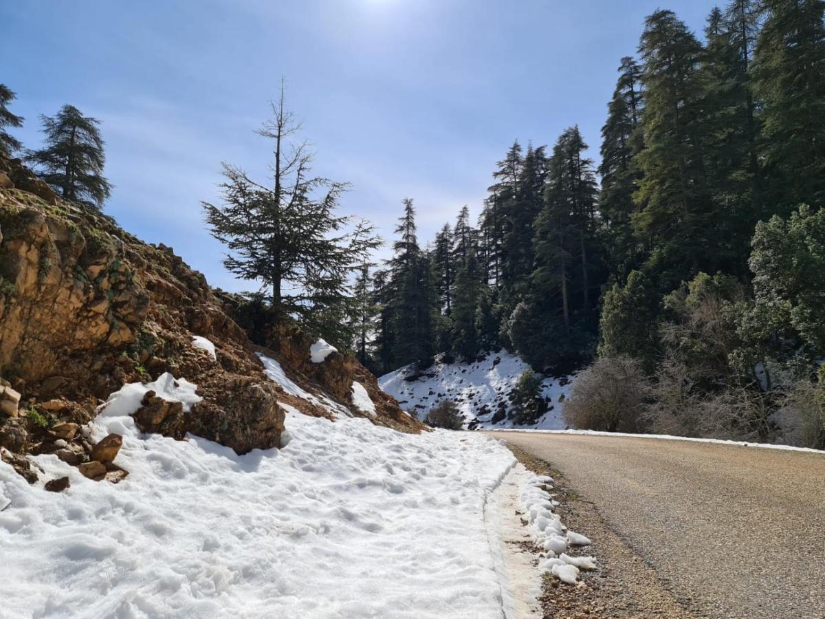 La Pommeraie D'Ifrane Ifrane  Dış mekan fotoğraf