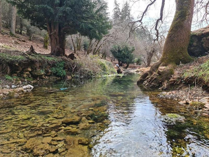 La Pommeraie D'Ifrane Ifrane  Dış mekan fotoğraf