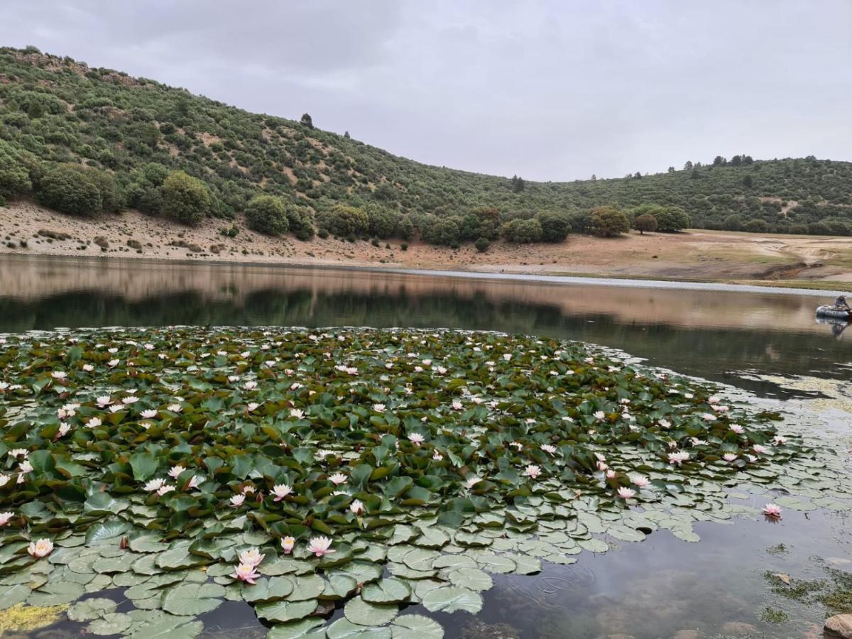 La Pommeraie D'Ifrane Ifrane  Dış mekan fotoğraf