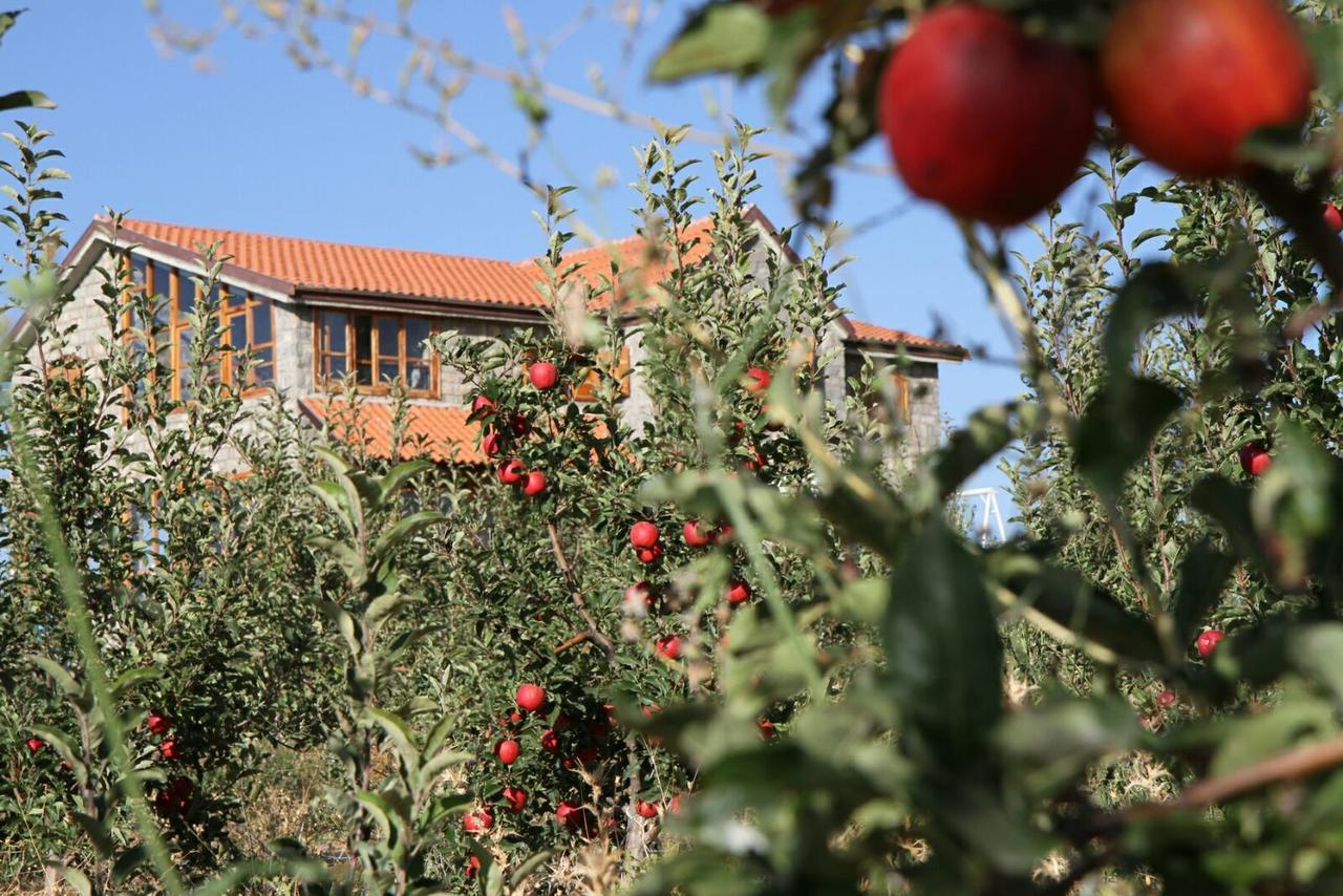 La Pommeraie D'Ifrane Ifrane  Dış mekan fotoğraf